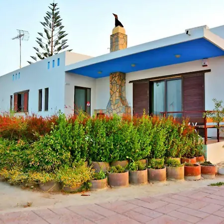 Oasis * Soroni